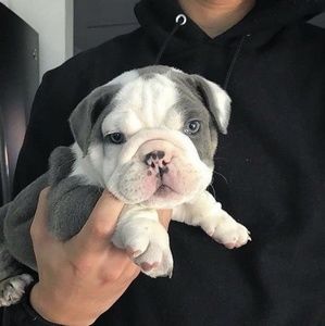 Meet your Posher, Neyse